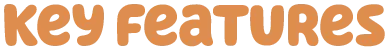 KEY FEATURES
